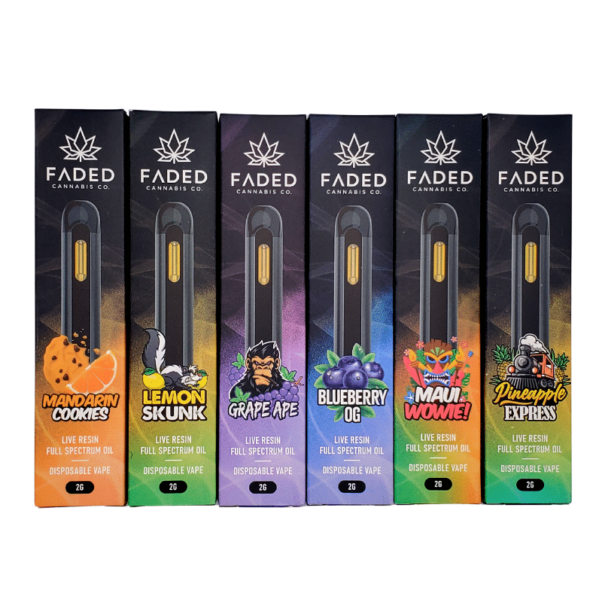 faded pens, faded vape pen, faded thc pen, faded disposable, faded carts, faded vapes, faded vape pen, faded vape pen not working, faded vape pen instructions, faded disposable vape pen, faded vape pen review, faded disposable vape pen how to use, faded vape pen price, how to turn on a faded vape pen, how to use faded vape pen, faded disposable vape pen review, faded vape pen canada, faded vape pen gold, faded vape pen how to use, faded vape pens, how to use a faded vape pen, kream and faded vape pen, vape pen light fades