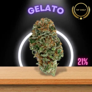 gelato strain, gelato, gelato weed, gelato cluster strain, gelato 33 strain, candy gelato strain leafly, gelato weed strain gelato leafly, gelato weed strains, gelato strains, gelato leafy, gelato strain, gelato pot strain, gelato pot, gelato 42, gelsto strain, gelato weed, gelato cannabis, gelato strsin, leafly gelato, weed strains gelato, gelato 42 strain, what strain is gelato, geloto strain, gelato strain weed, gelato strain info, gelato marijuana, gelato strain leafly, gelato hybrid, gelato og strain, zelato strain, hybrid gelato, gelato flower, gelato.strain, gelato power strain, og gelato strain, gelato strand, gelato thc, gelato 43, gelato strai, gelato starin, gelato straun, gellato, gelato strain information, gelato 45, what is gelato weed, gelato bud, exotic gelato strain, gelato indica, gelato cannabis strain, weed strains gelato, gelato steain, gelato candy leafly, gelati weed strain, weed gelato, gelato drugs, strawberry gelato strain, larry bird gelato, gelatto, gelato pot strain, gelato pot, gelato 43 strain, indica gelato, jaloto weed, gelado strain, gelato og, gelato sativa, gelati weed, gelato cross, g42 strain, weed strain gelato, gelato dream strain, gelato casamigo strain, strain gelato, gelato #42, candy gelato strain, geloto, gelato cluster strain, gelato weed strains names, gellato strain, gelato og, crystal gelato strain, cali gelato, gelato hybrid, crystal gelato strain, gelato 41 weed, gelato float strain, larry bird weed, larry bird weed, gelato strain lineage, gelato marihuana, gelato haze, gelato smoking, acai gelato, gelato kush, gelato x strain, gelato madness strain, gelato 32, gelato lineage, gelato marijuana strain