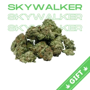 skywalker og strain, skywalker og kush strain, ovm x skywalker og strain, skywalker og weed strain, strain skywalker og, gmo x skywalker og strain, skywalker og strain effects, og skywalker strain, gmo x skywalker og strain review, skywalker og strain indica or sativa, skywalker og strain info, what strain is skywalker og, skywalker og strain leafly, skywalker og strain review, gmo x skywalker og strain leafly, og skywalker strain info, platinum skywalker og strain, skywalker og strain allbud, gmo skywalker og strain, luke skywalker og strain, skywalker og marijuana strain, skywalker og strain genetics, skywalker og strain grow info, skywalker og strain near me, skywalker og strain stiiizy, skywalker og strain taste, skywalker og strain thc, skywalker og strain thc level, skywalker og strain yield, skywalker strain og, strains similar to skywalker og, pink skywalker og strain, raspberry skywalker og strain, royal skywalker og strain, skywalker og cannabis strain, skywalker og strain cartridge, skywalker og strain seeds, skywalker og wax strain, skywalker.og strain, white skywalker og strain, alien skywalker og strain, blue skywalker og strain, brass knuckles skywalker og strain, bubba skywalker og strain, buy skywalker og strain cartridges online, cannabis strain skywalker og, effects of skywalker og strain, gmo x skywalker og strain effects, growing skywalker og strain, heavy hitters skywalker og strain, https www.allbud.com marijuana-strains indica-dominant-hybrid skywalker-og, ilovegrowingmarijuana strain review skywalker og, indica skywalker og strain, is skywalker og a good strain, is skywalker og an outdoor strain, leafly skywalker og strain, lemon skywalker og strain, lil skywalker og strain, marijuana strain skywalker og, marijuana strains skywalker og, noir skywalker og strain, northern strains gold label skywalker og cartridge, og skywalker marijuana strain, og skywalker weed strain, og strain skywalker og, purple skywalker og strain, reserva privada skywalker og kush strain review, reserved skywalker og strain, skywalk og strain, skywalker og auto strain, skywalker og big chief strain, skywalker og cannabis strain review, skywalker og cannabis strain thc cbd, skywalker og cart strain, skywalker og cartridge strain, skywalker og cbd strain, skywalker og indica strain, skywalker og kush cannabis strain, skywalker og kush strain review, skywalker og leafly strain, skywalker og medical marijuana strain, skywalker og oil strain, skywalker og oil strain review, skywalker og similar strains, skywalker og stiiizy strain, skywalker og strain allbu, skywalker og strain big chief, skywalker og strain cart, skywalker og strain deffinsion, skywalker og strain definition, skywalker og strain delta 8, skywalker og strain facts, skywalker og strain flavor, skywalker og strain flower time, skywalker og strain flowering time, skywalker og strain grow, skywalker og strain grow guide, skywalker og strain height, skywalker og strain hi res, skywalker og strain info leafly