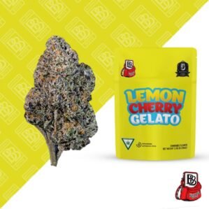 lemon cherry gelato strain, gelato strain, gelato 33 strain, gelato 41 strain, black cherry gelato strain, gelato cake strain, jet fuel gelato strain, bubblegum gelato strain, bacio gelato strain, bubble gum gelato strain, mochi gelato strain, gelato 45 strain, guava gelato strain, lemon gelato strain, watermelon gelato strain, blue gelato strain, lemon cherry gelato strain for salle, blueberry gelato strain, cherry gelato strain, gelato mintz strain, gelato weed strain, acai gelato strain, berry gelato strain, gelato cluster strain, gelato runtz strain, peanut butter gelato strain, tuscan gelato strain, gelato weed strains, lemon.cherry gelato strain, purple gelato strain, strawberry gelato strain, white cherry gelato strain, apple gelato strain, gelato cake weed strain, gelato strains, strawberry cherry gelato strain, acai berry gelato strain, apple gelato ice strain, caramel apple gelato strain, gelato 33 weed strain, gelato 41 weed strain, gelato 44 strain, gelato cookies strain, gelato sundae strain, ice cream gelato strain, candy gelato strain, candy gelato strain leafly, cherry lemon gelato strain, cherry lime gelato strain, gelato dream strain, gelato pot strain, gello gelato strain, glazed apricot gelato strain, holy gelato strain, biscotti gelato strain, blue guava gelato strain, divine gelato strain, frosted gelato strain, frosted melon gelato strain, gelato 47 strain, gelato ice strain, gelato pop strain, gelato punch strain, grape gelato strain, lemon cherry gelato strain effects, pink gelato strain, platinum gelato strain, platinum lemon cherry gelato strain, sunset gelato strain, apple gelato strains, blackberry gelato strain, cotton candy gelato strain, crystal gelato strain, frosty gelato strain, gelato float strain, gelato zkittlez strain, green gelato strain, half moon gelato strain, i c e cream gelato strain, lemon cherry gelato weed strain, papaya gelato strain, rainbow gelato strain, strawberry gelato strain review, stuffed cherry gelato strain, super lemon cherry gelato strain, weed strains gelato, white gelato strain, banana gelato strain, cherry gelato strain allbud, durban gelato strain, gelato #33 strain, gelato 42 strain, gelato stomper strain, gelato strain 45, huckleberry gelato strain, red velvet gelato strain, triangle gelato strain, tropical gelato strain, wedding gelato strain, what strain is gelato